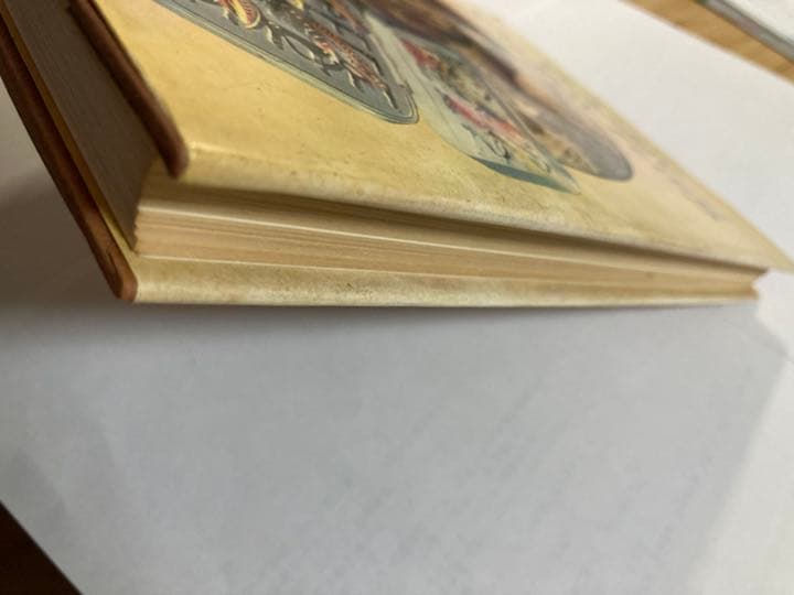 【送料無料】【洋書】【希少】サーモンフライ　タイイング