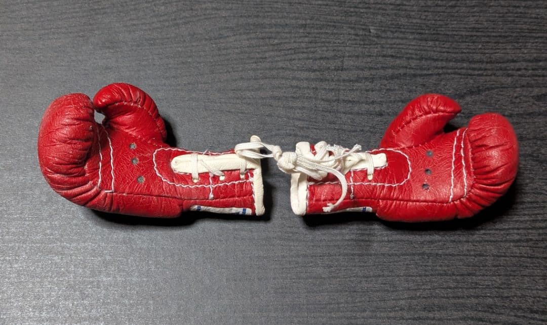 ボクシング マスコットグローブ レパード玉熊×アルバレス