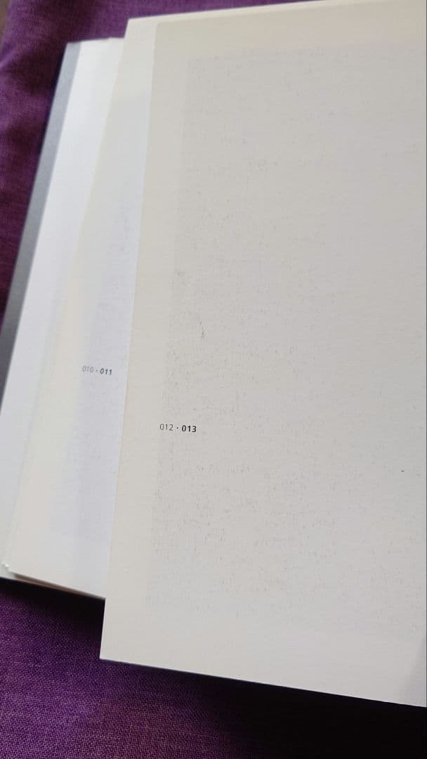 White Porcelain TAIZO KURODA黒田泰蔵白磁作品集