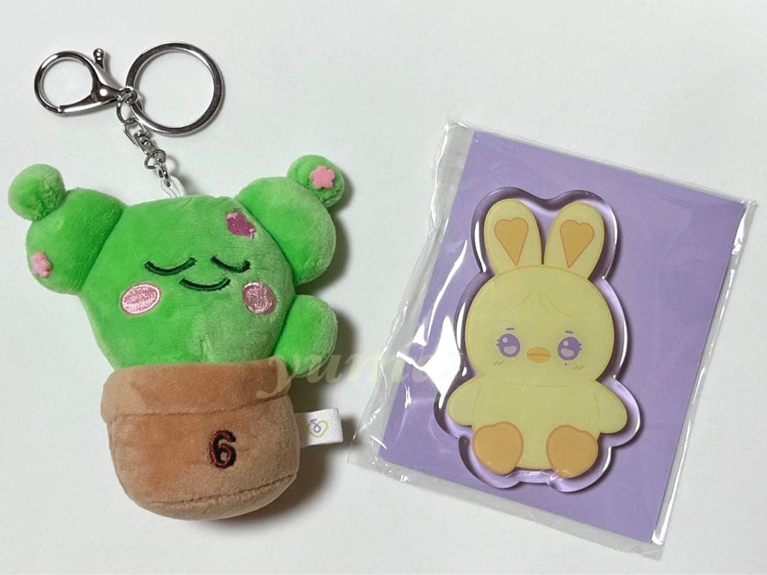 IU 아이유　ファンコンサート　特典　非売品　グッズ　サボテン