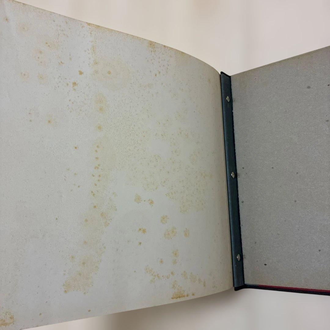 山 光と影 現代山岳写真家代表詩集