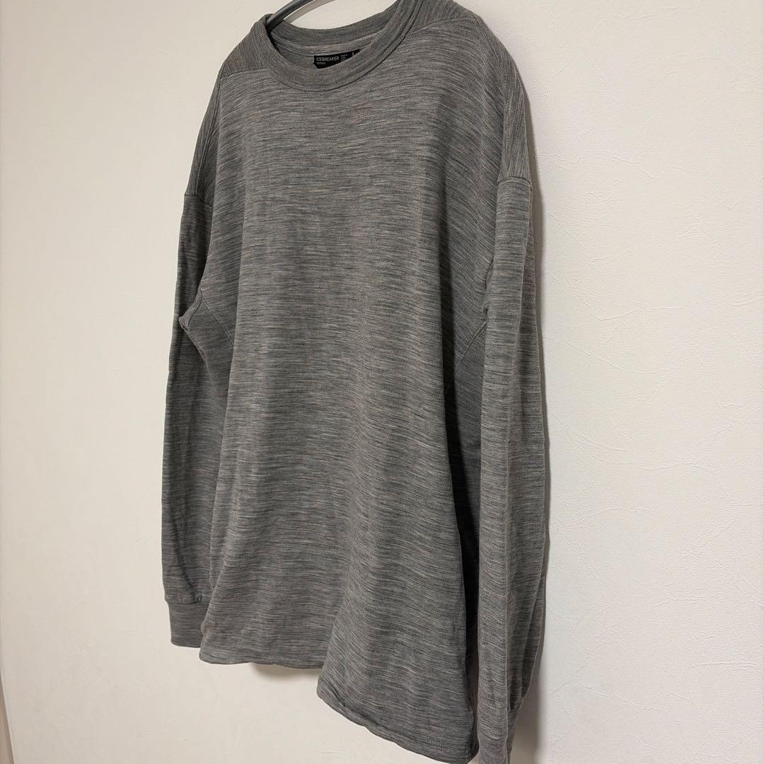 アイスブレーカー REAL FLEECE LS CREWE リアルフリース