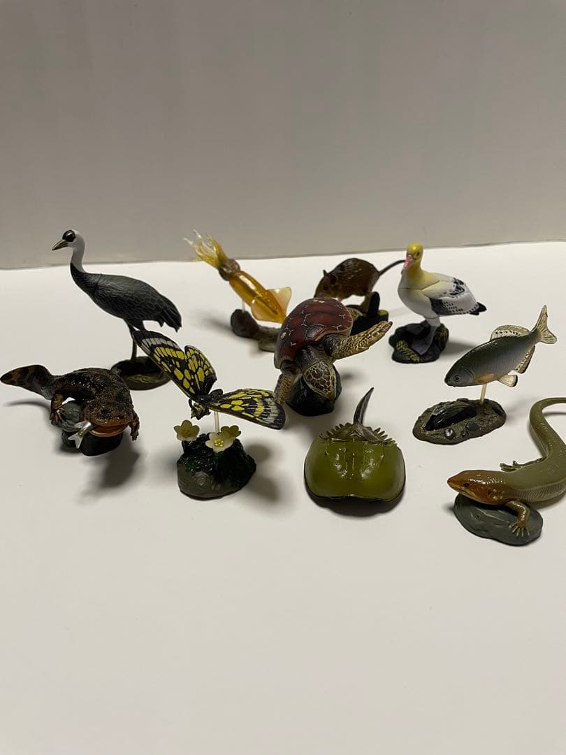 週間　日本の天然記念物　海洋堂　フィギュア付き全50巻　専用バインダー付き