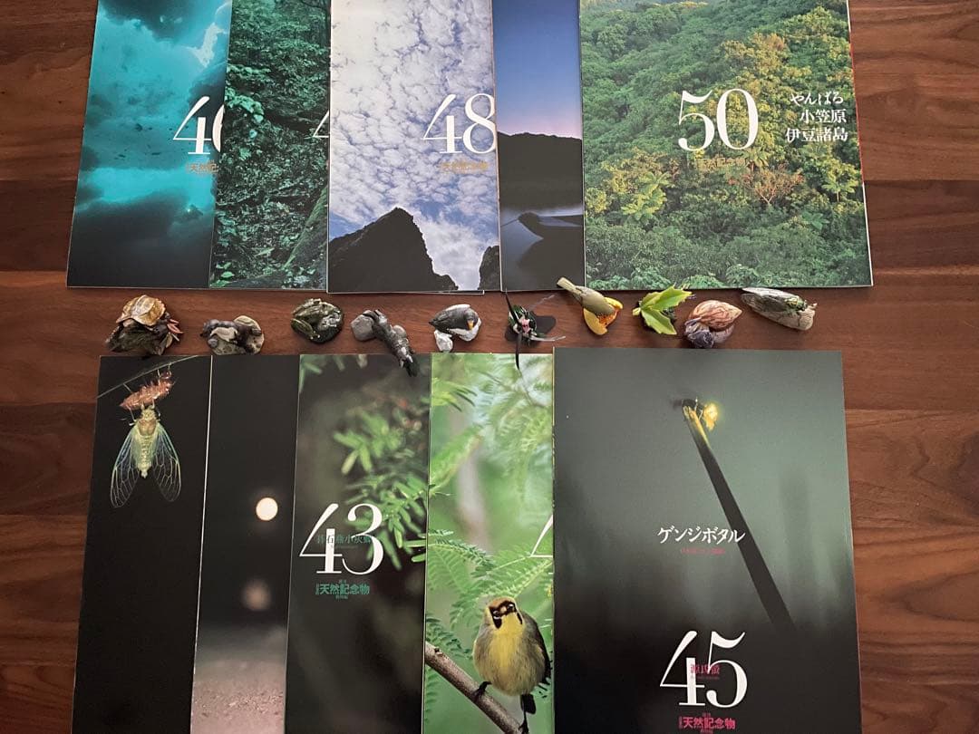 週間　日本の天然記念物　海洋堂　フィギュア付き全50巻　専用バインダー付き