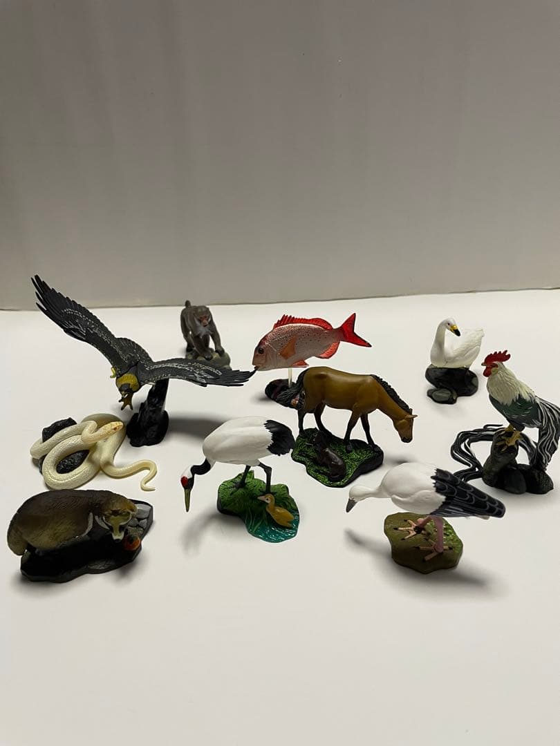 週間　日本の天然記念物　海洋堂　フィギュア付き全50巻　専用バインダー付き