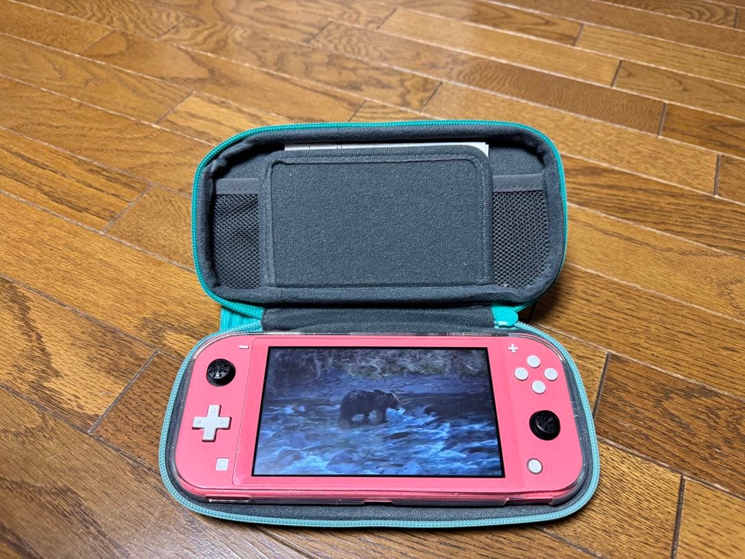 Nintendo Switch Lite ピンク ケース付き