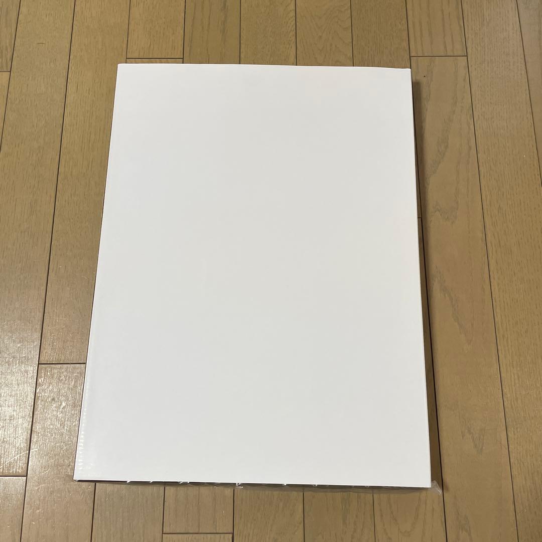 2010FIFA ワールドカップ出場国ピンズコレクション　コカコーラオリジナル