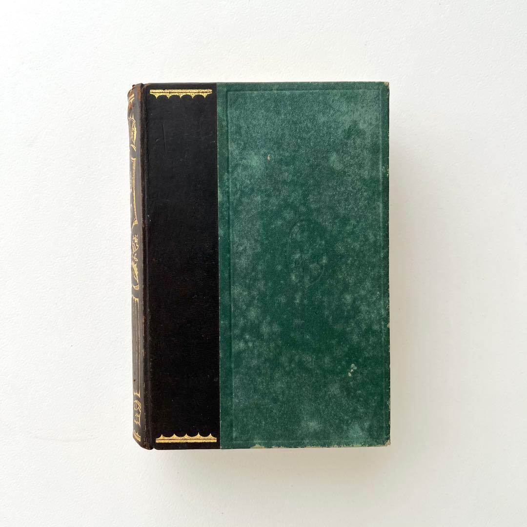 日本植物図鑑　牧野富太郎　北隆館　1925年初版