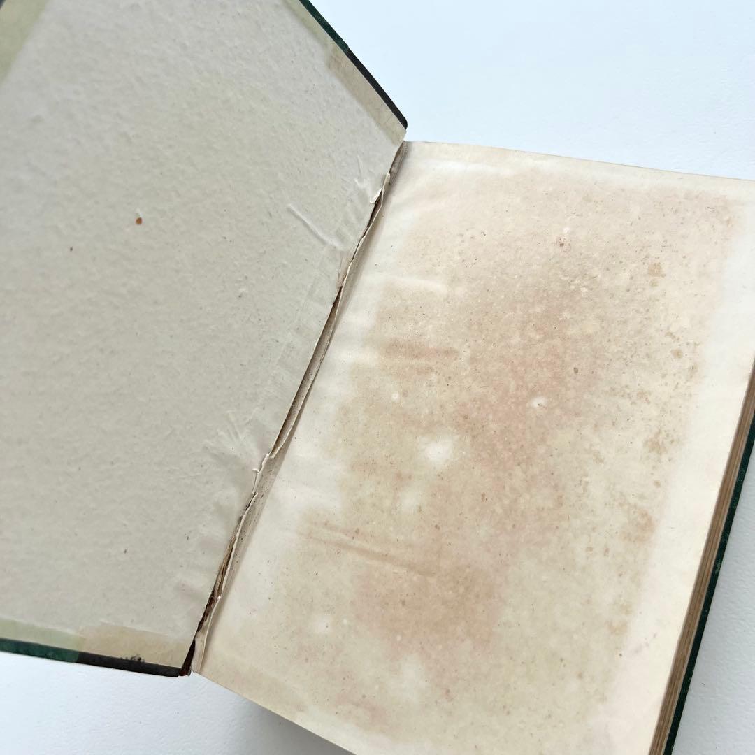 日本植物図鑑　牧野富太郎　北隆館　1925年初版