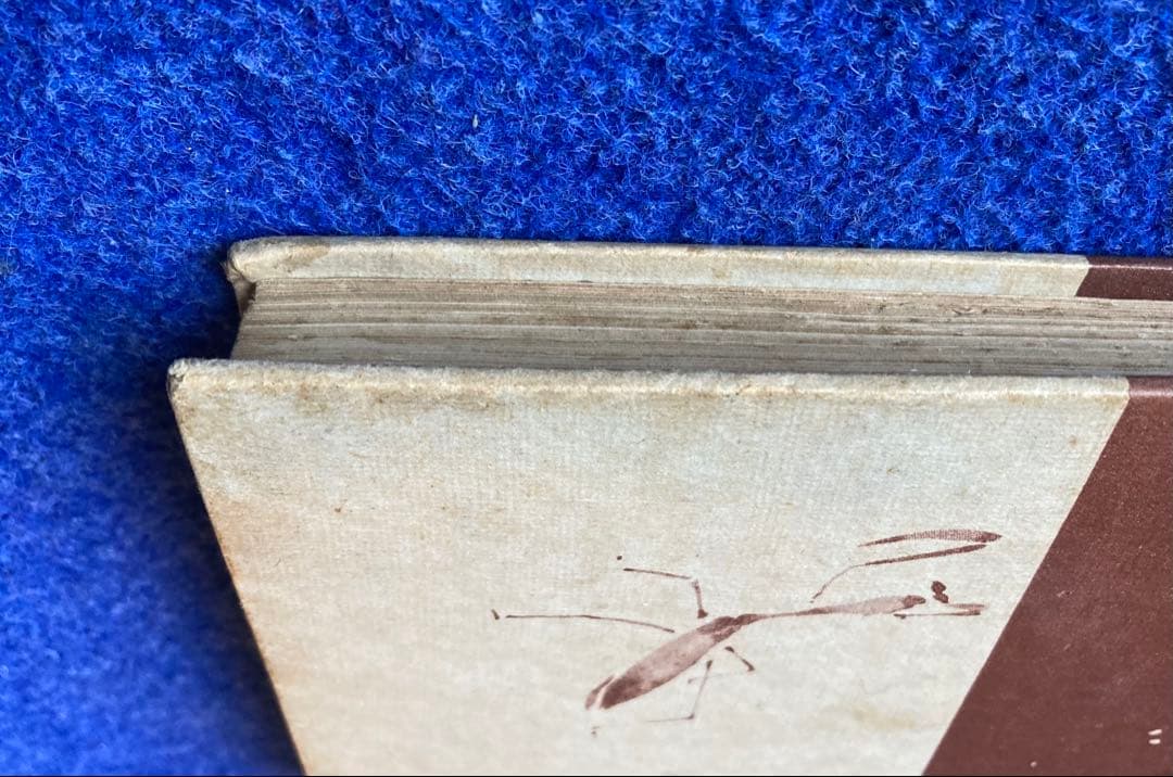 俳句入門　高浜虚子　大洋社