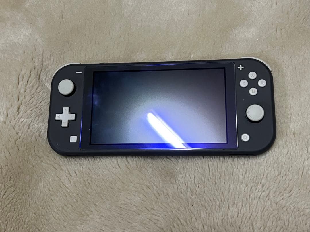 【動作確認済】Nintendo Switch Lite 本体 ブラック