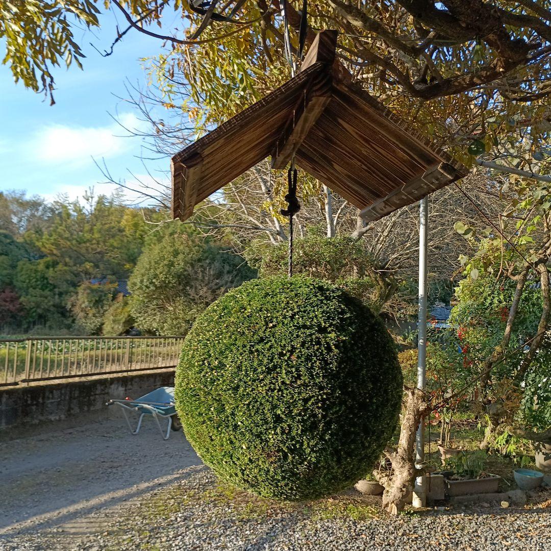 杉玉、屋根付き　杉玉直径37ｃｍ