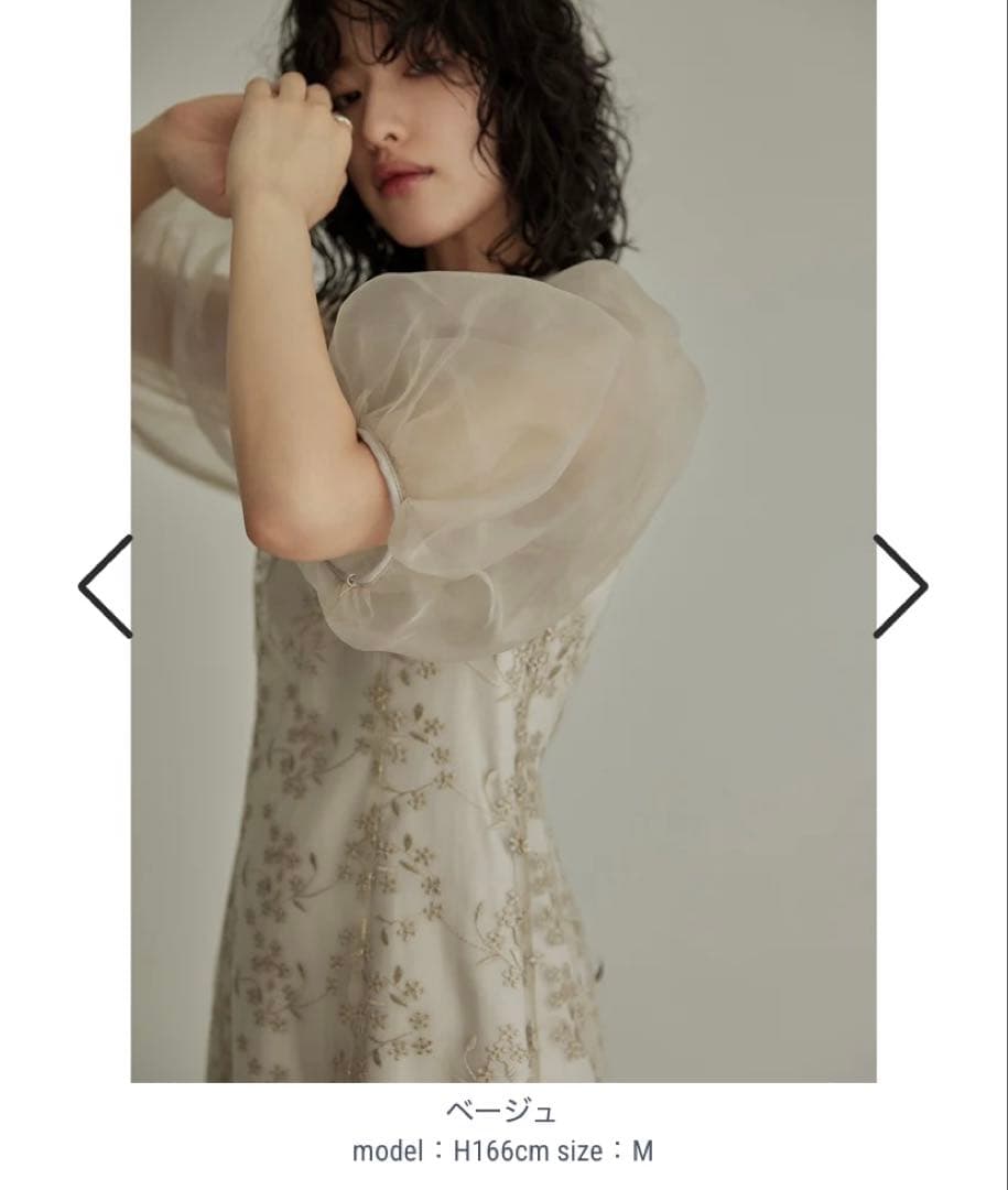 【値下げ中】niana ニアナ　オーガンジーパフスリーブ刺繍レース　オケージョン