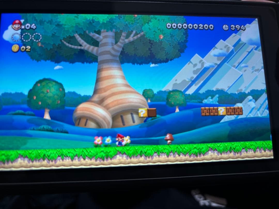 Nintendo switch liteグレー 本体、ケース