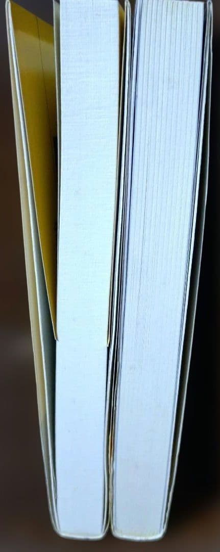 有坂誠人の現代文速解 例の方法 2冊セット