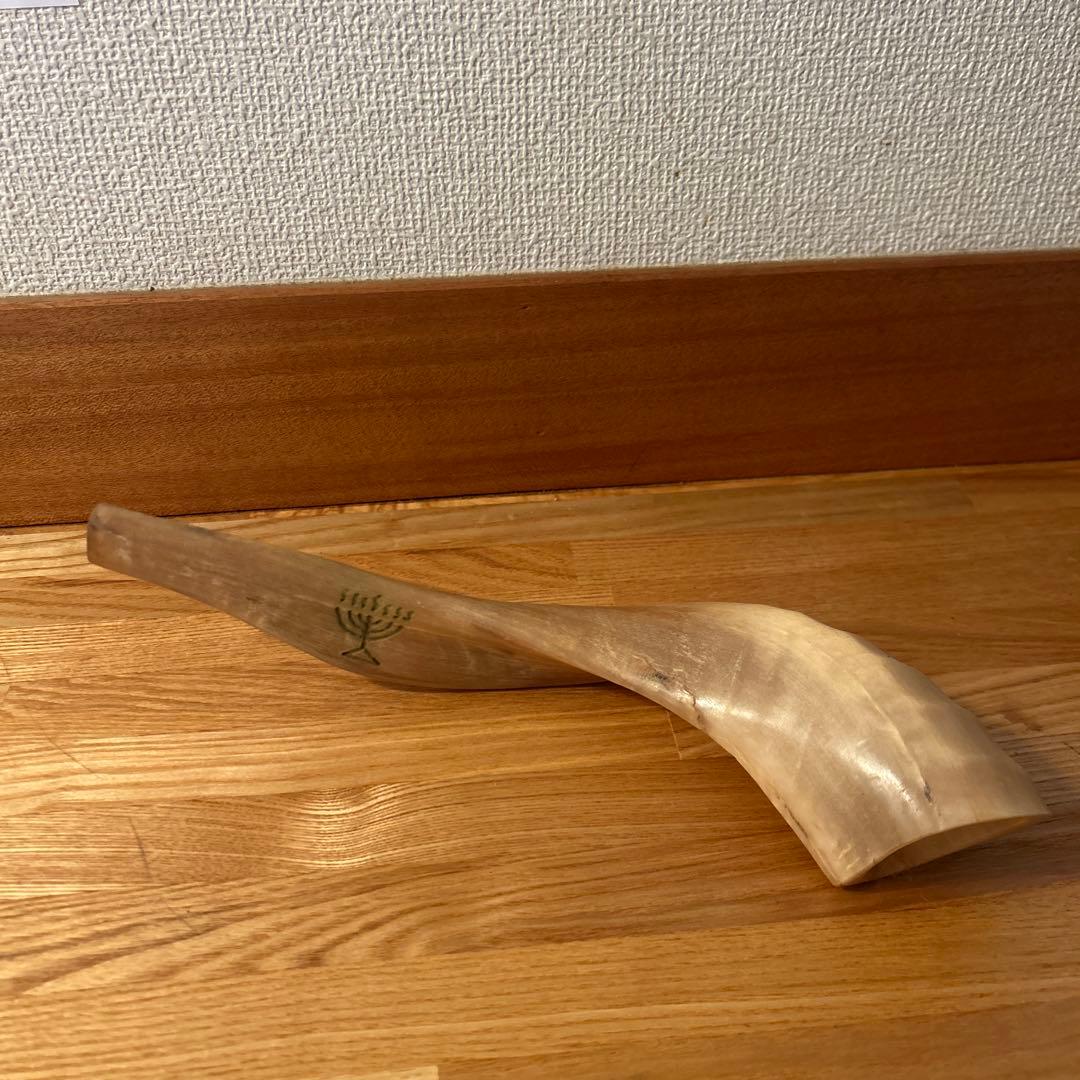 Shofar ショファール 約30cm メノラー刻印あり 実用可