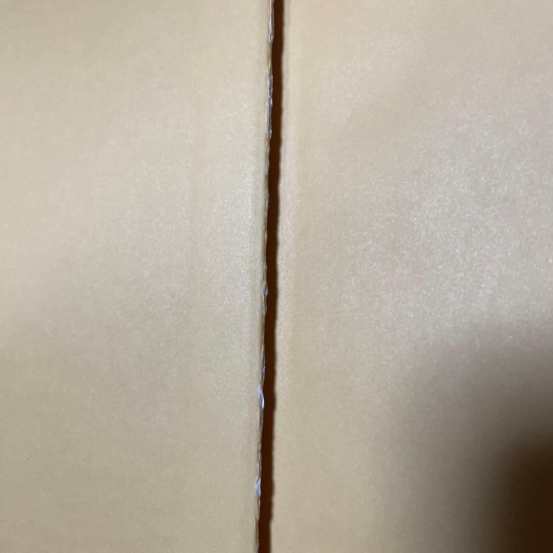 洋書 REPTILE Medicine and Surgery 2nd edi.