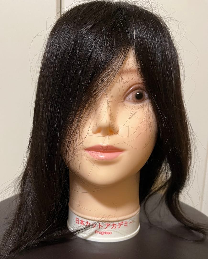 カットウィッグ　人毛100% プログレーソ 日本カットアカデミー 2体セット
