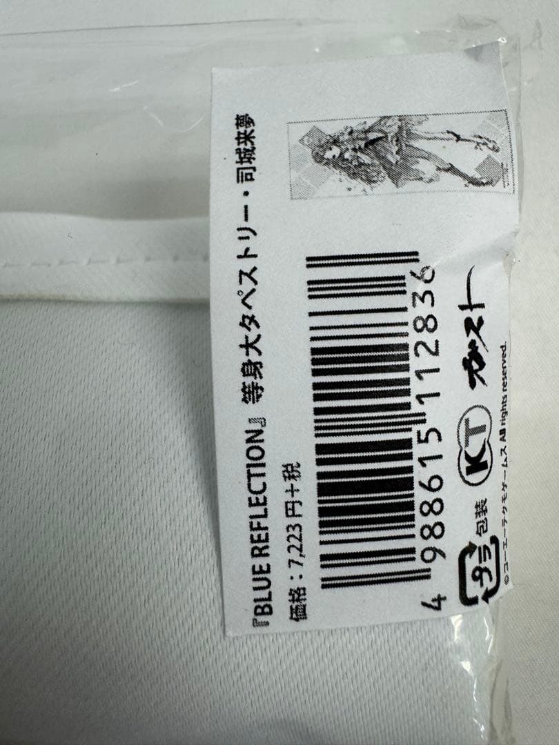 司城来夢 等身大タペストリー BLUE REFLECTION ガストショップ限定