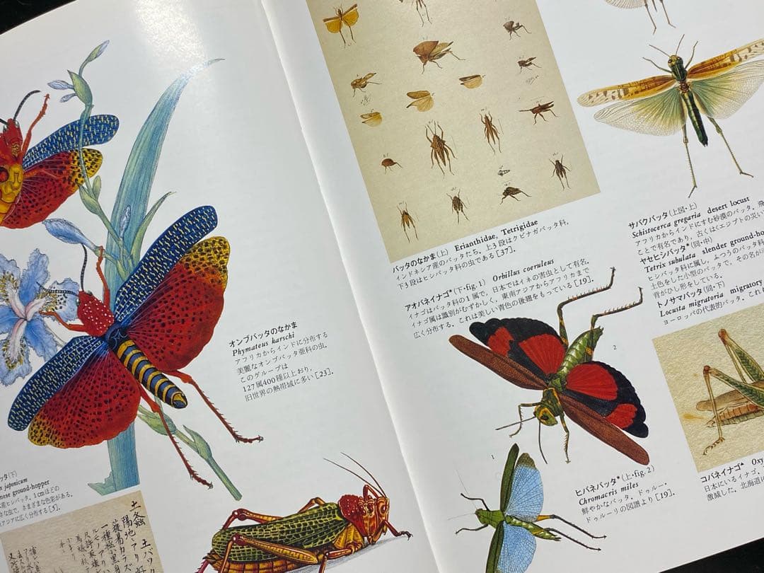 世界大博物図鑑（平凡社）全5巻