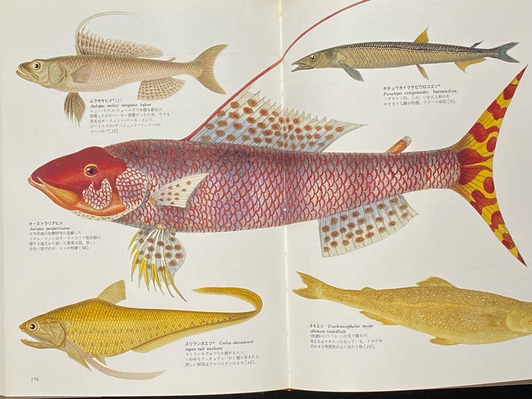 世界大博物図鑑（平凡社）全5巻