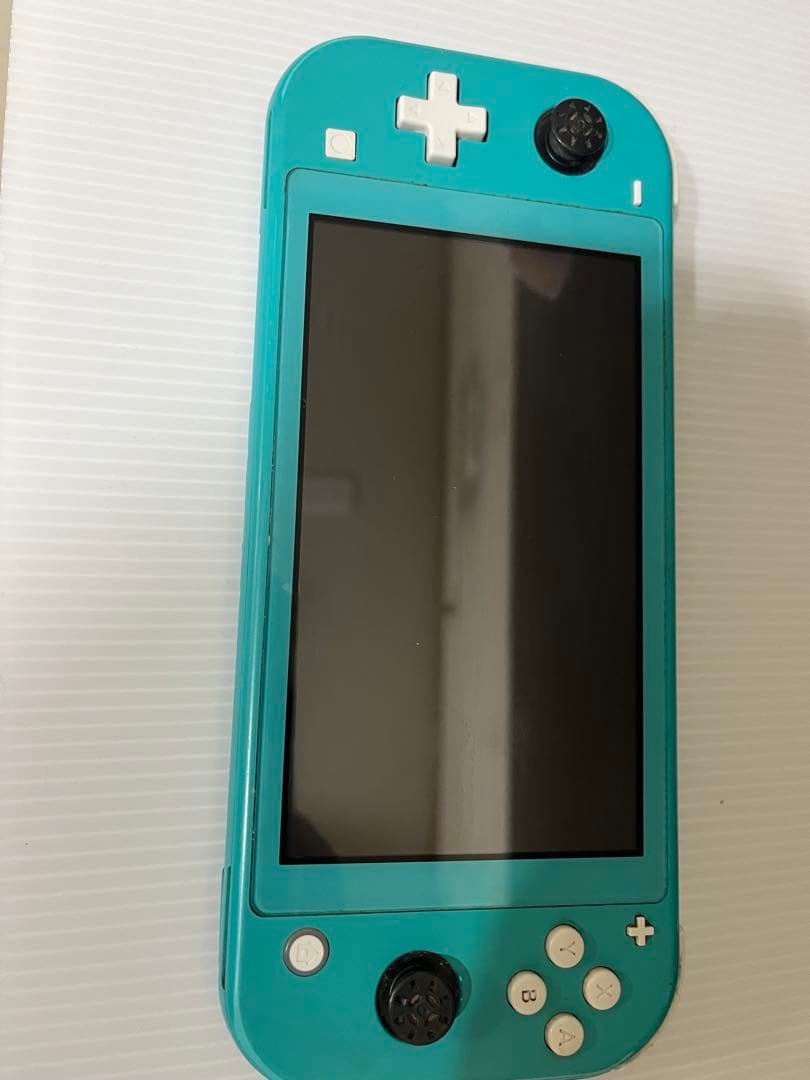 Nintendo Switch Lite 本体のみ ジャンク品