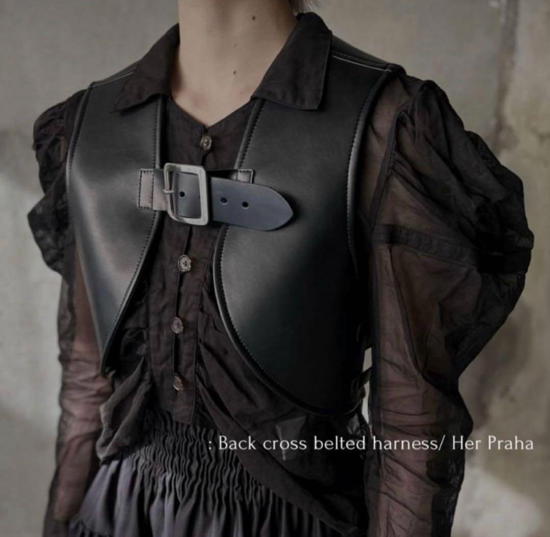 litmus リトマス Her Praha レザーハーネス