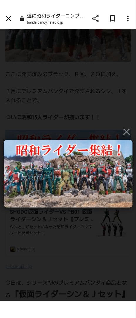 SHODO 仮面ライダー VS 仮面ライダー シン & J 本郷猛 掌動-XX