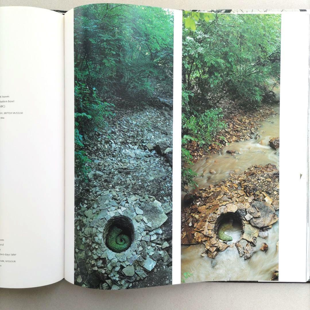 WOOD Andy Goldsworthy/アンディ・ゴールズワージー 作品集