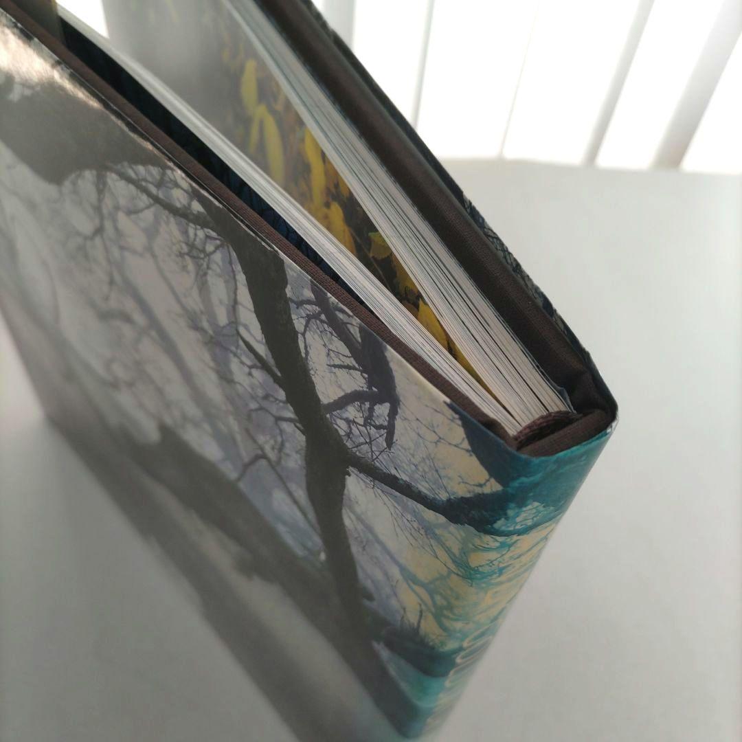 WOOD Andy Goldsworthy/アンディ・ゴールズワージー 作品集