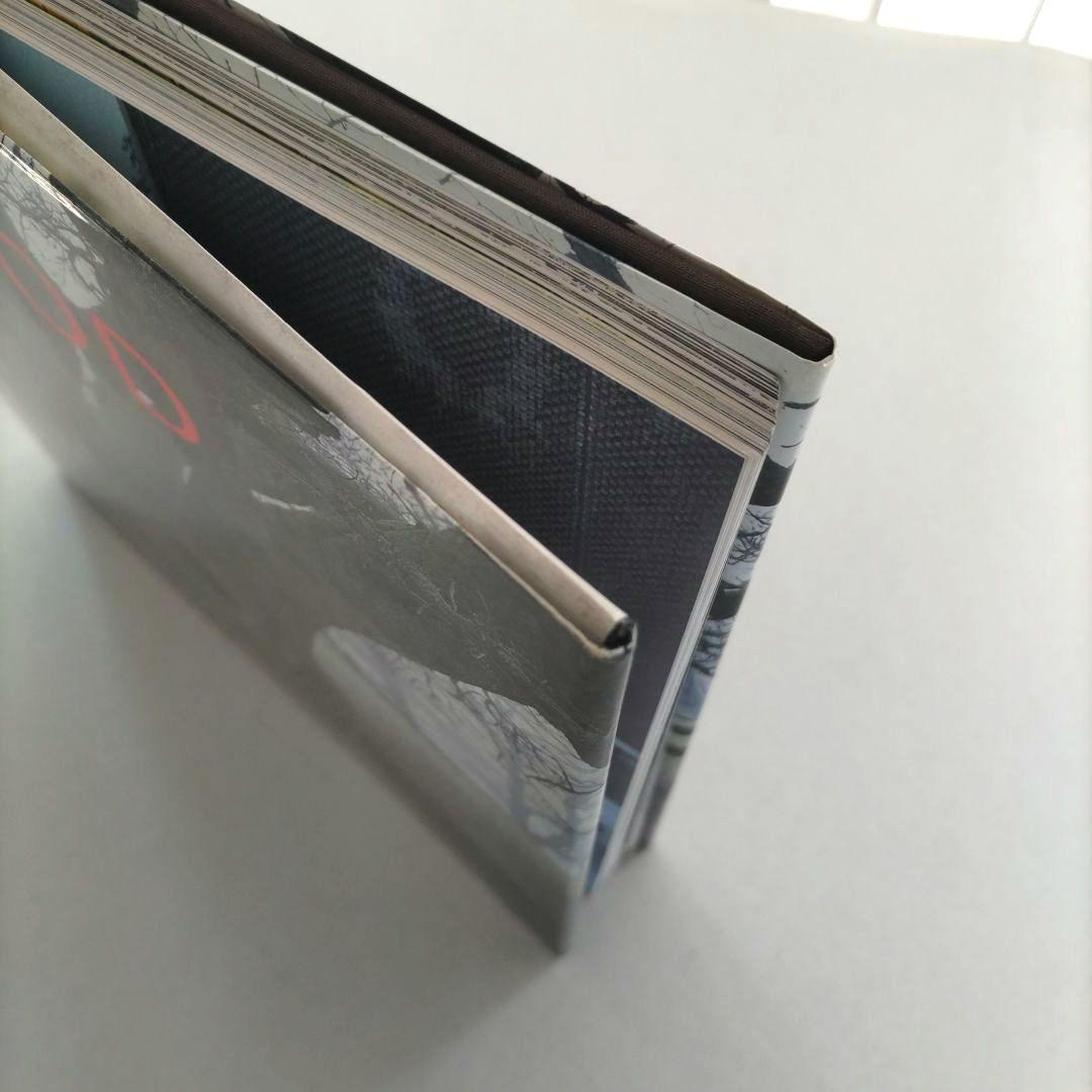 WOOD Andy Goldsworthy/アンディ・ゴールズワージー 作品集