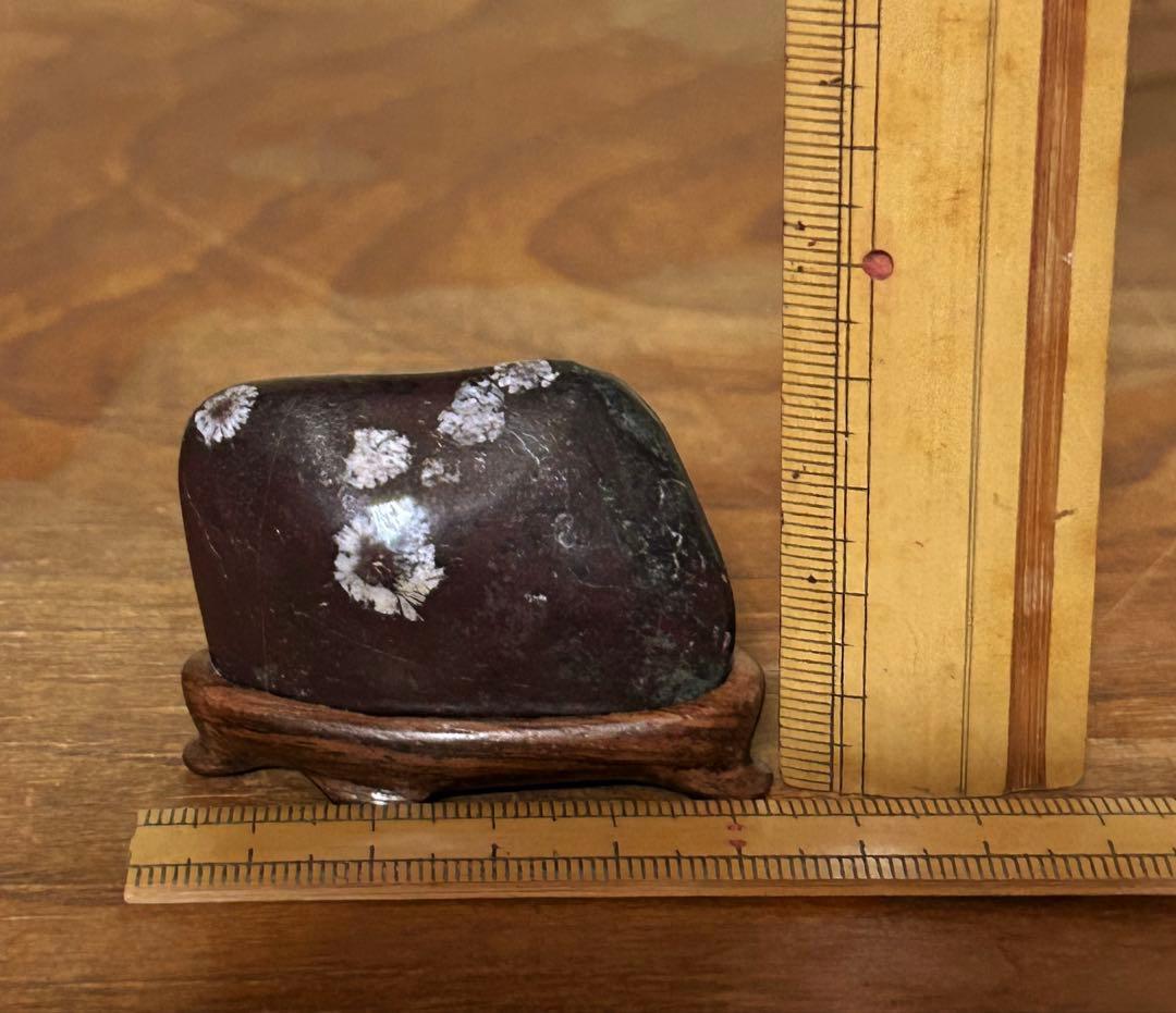 菊花石　菊紋石　根尾菊花石　飾石　天然石　水石 鑑賞石　自然石　原石　鈜物　置物