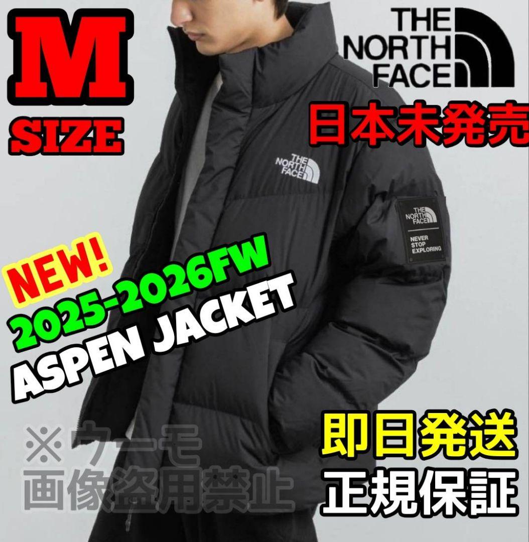 新作 THE NORTH FACE ASPEN EX Mサイズ ブラック