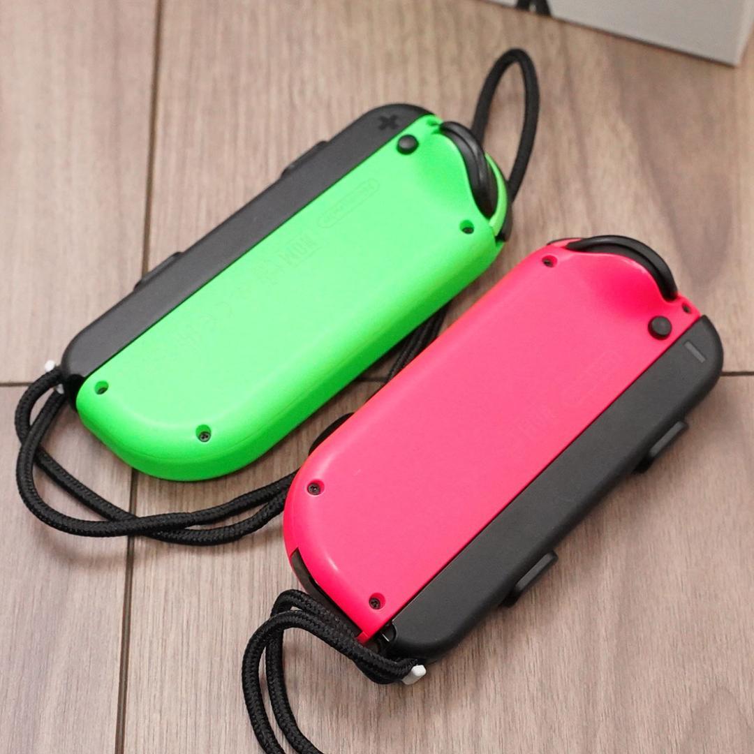 ニンテンドースイッチ あつまれどうぶつの森セット ジョイコン2個 ドッグ1式付き