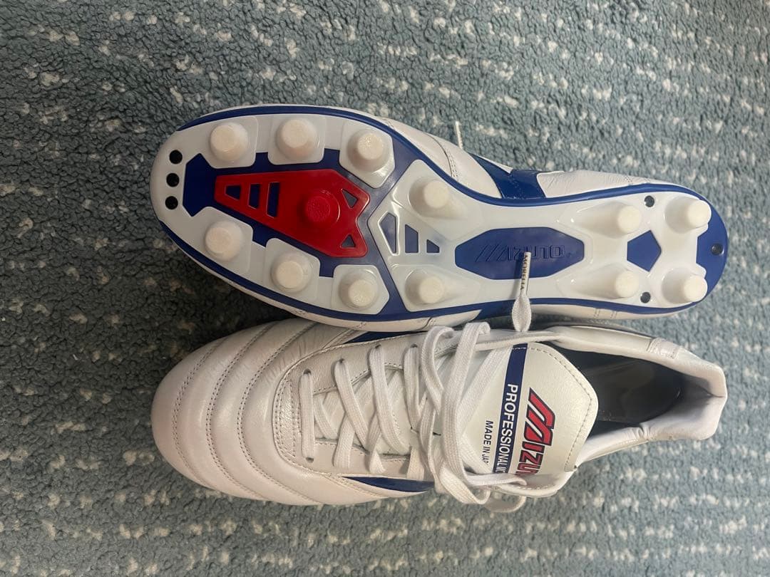 1500足限定カラー モレリア2Japan 28cm