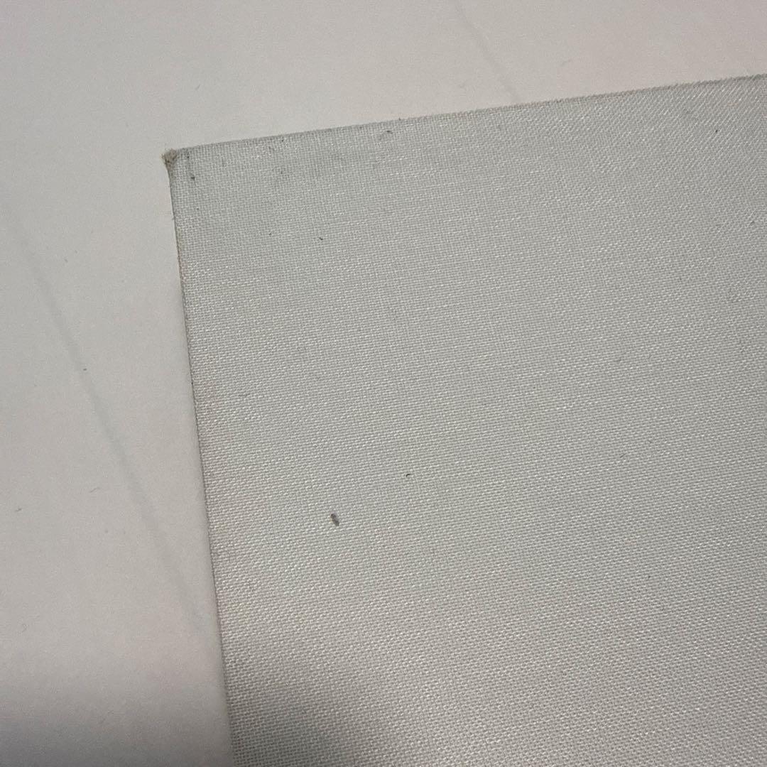 Designed by Apple in California 大 写真集