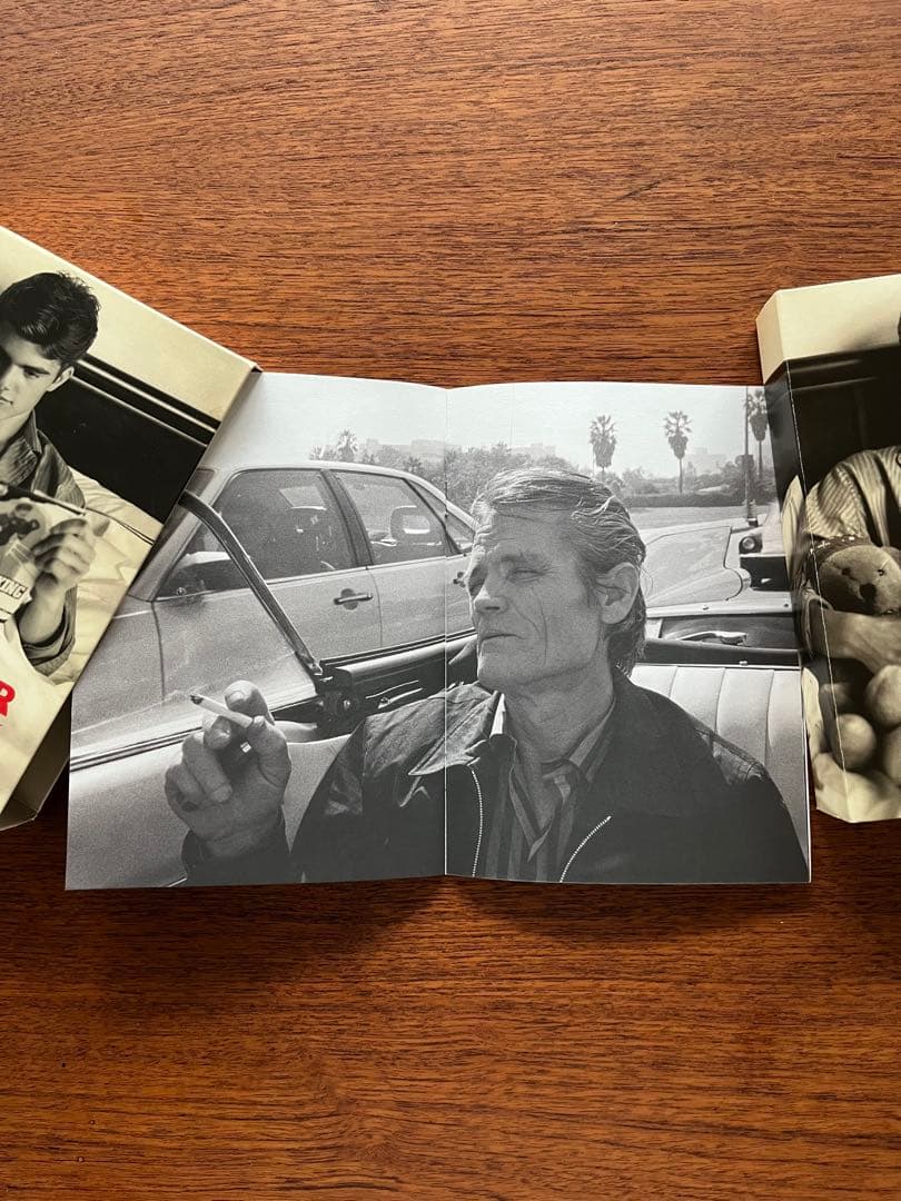 BRUCE WEBER 超貴重 DVD5枚セット