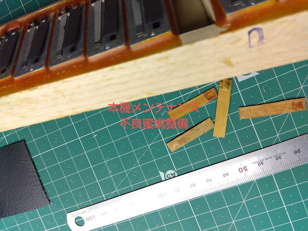 【大幅メンテ完了】 トンボ ソプラノアコーディオン No.250 赤（即演奏可）