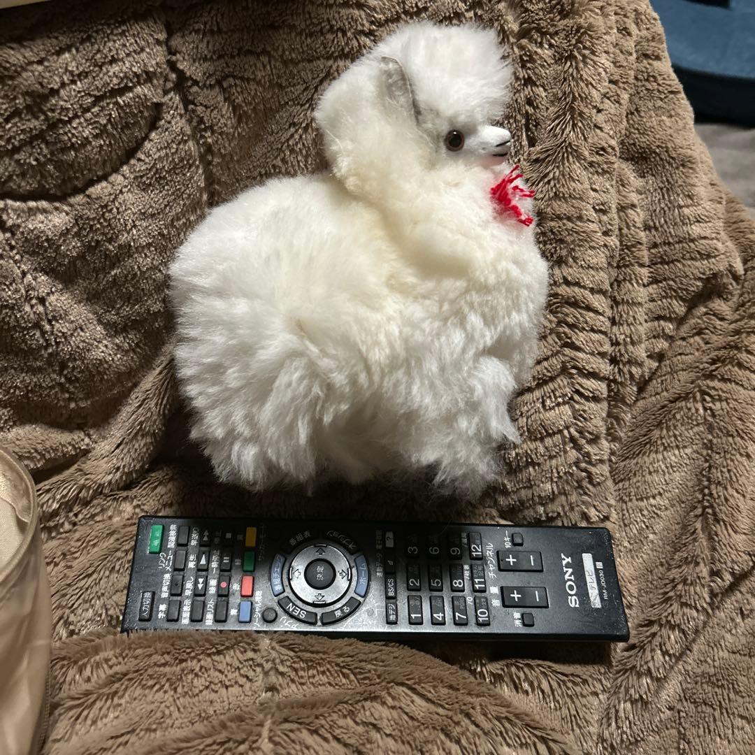 ペルー現地購入　アルパカぬいぐるみ5点セット