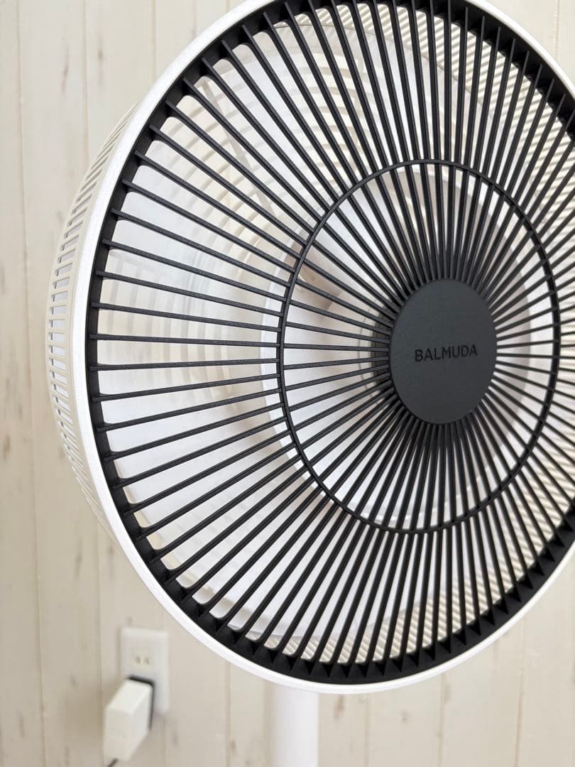 バルミューダ扇風機　2018年製　リモコン　専用袋　充電ドッグ　サーキュレーター