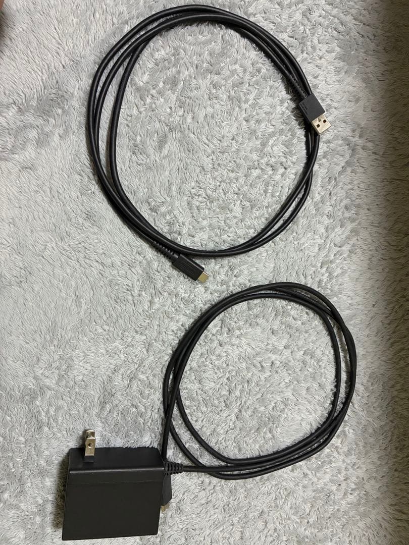 Nintendo Switch あつまれどうぶつの森　同梱版(初期化済み)