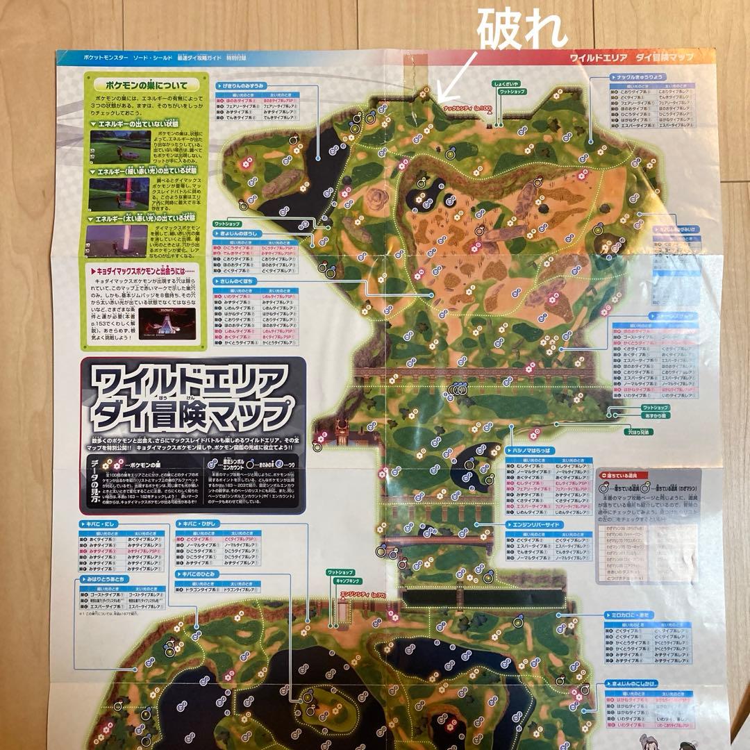ポケットモンスター ソード・シールドWP 攻略ガイド本付き