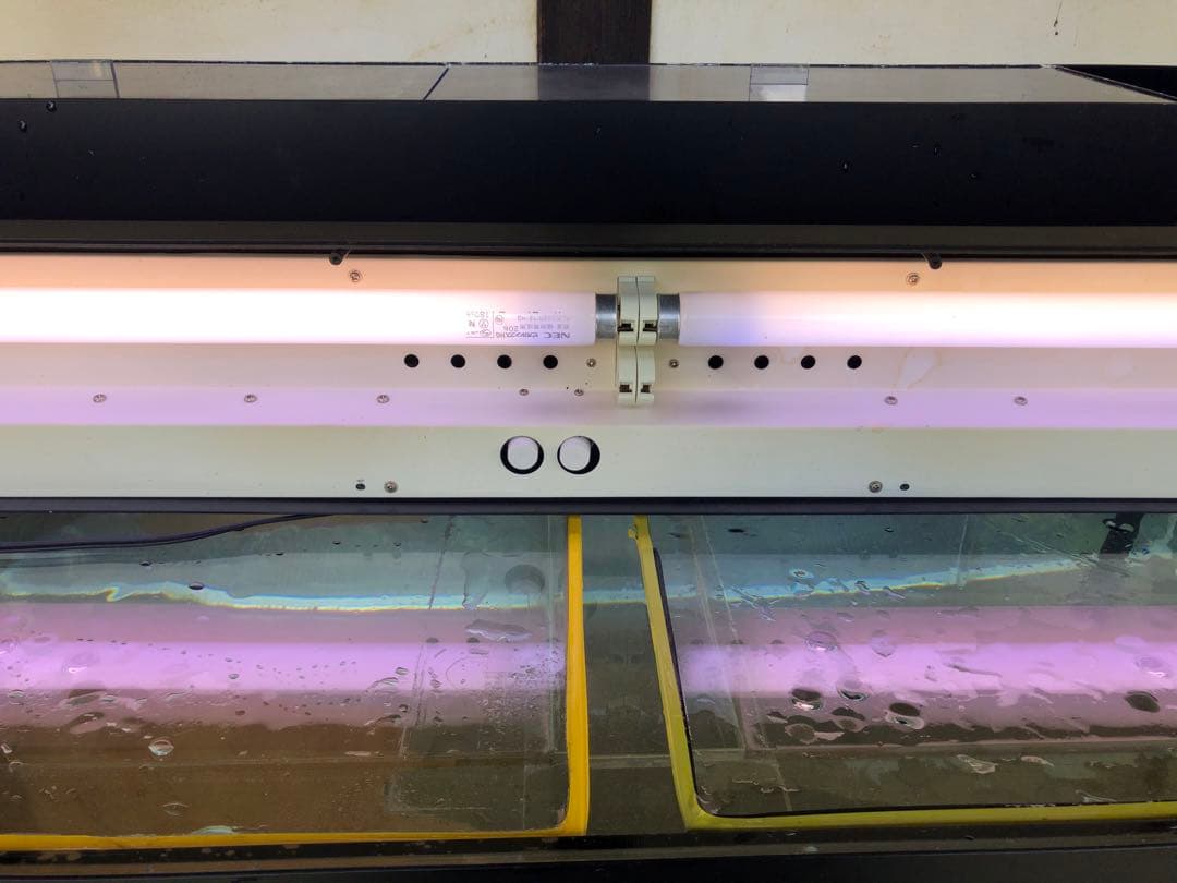 め*い様 水槽120×60×60cm ５点セット☆引取り限定☆