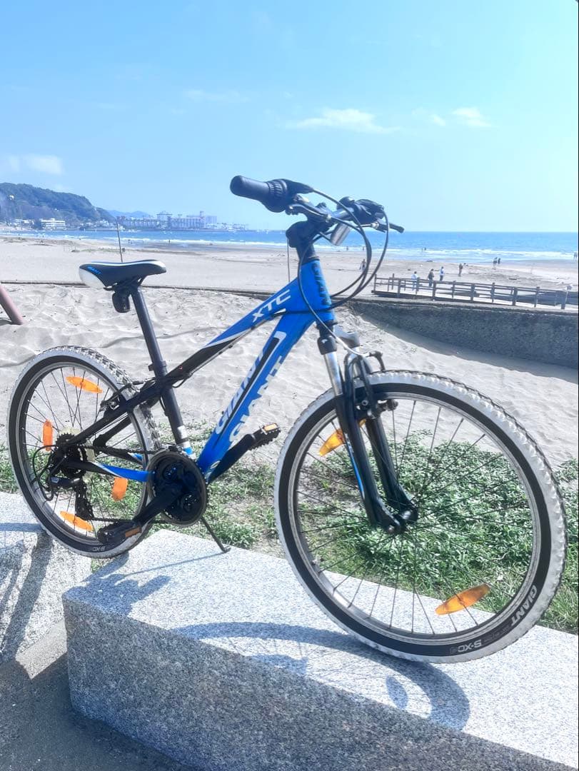 GIANT24インチ新品チューブ不具合無し