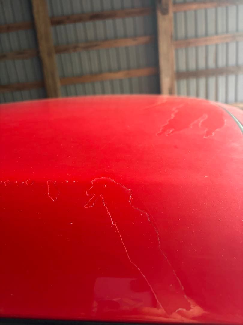 デビル H17年 ダイハツ L880k コペン