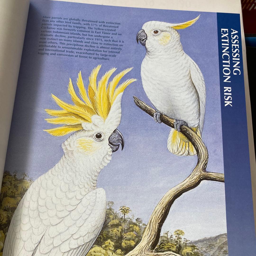 Threatened Birds of the World (絶滅危惧種鳥類)