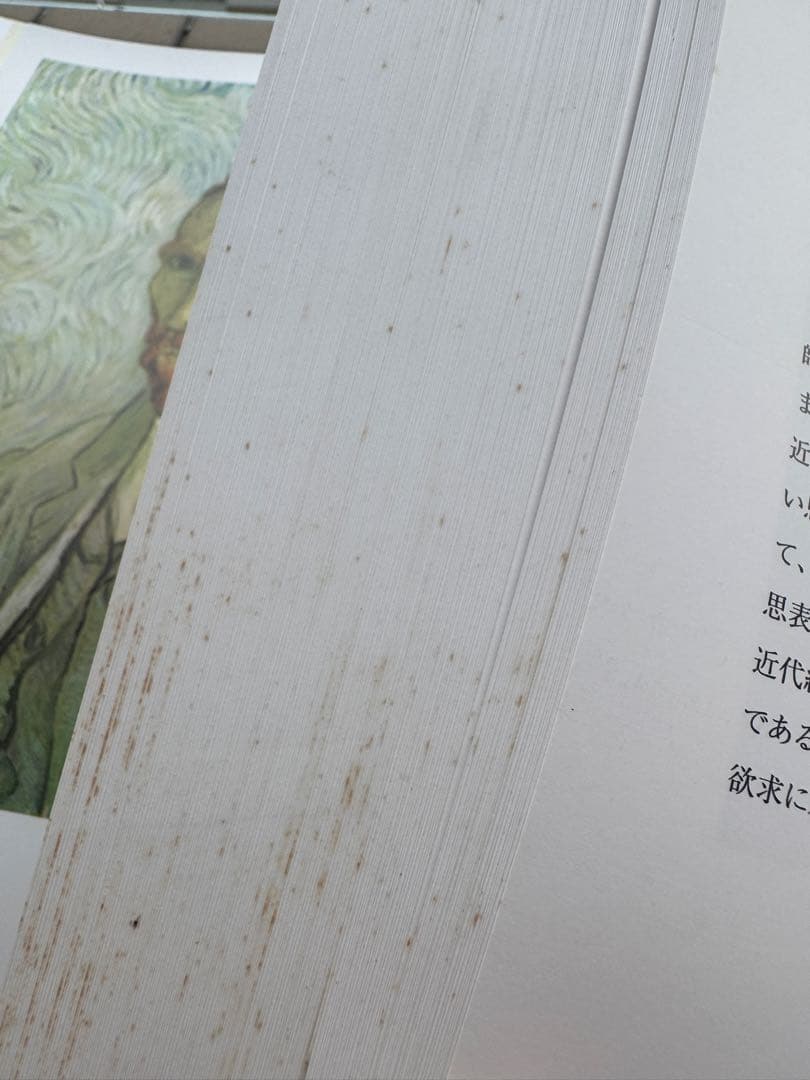 Van Gogh（ヴァン・ゴッホ）全油彩画集 全2巻セット 日本語版