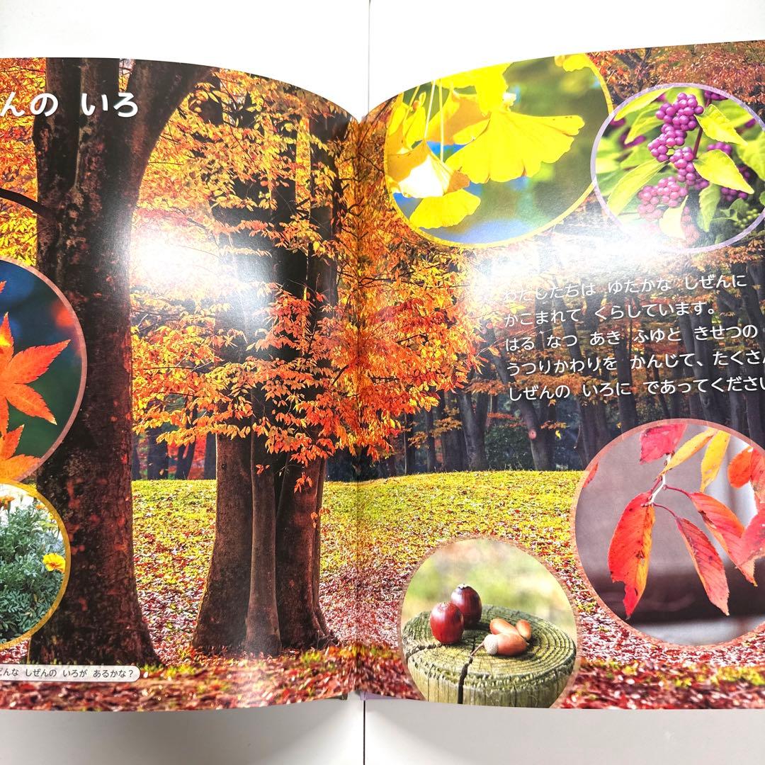 【2点購入150円引】キンダーブック しぜん くさきぞめ『2022年10月号』