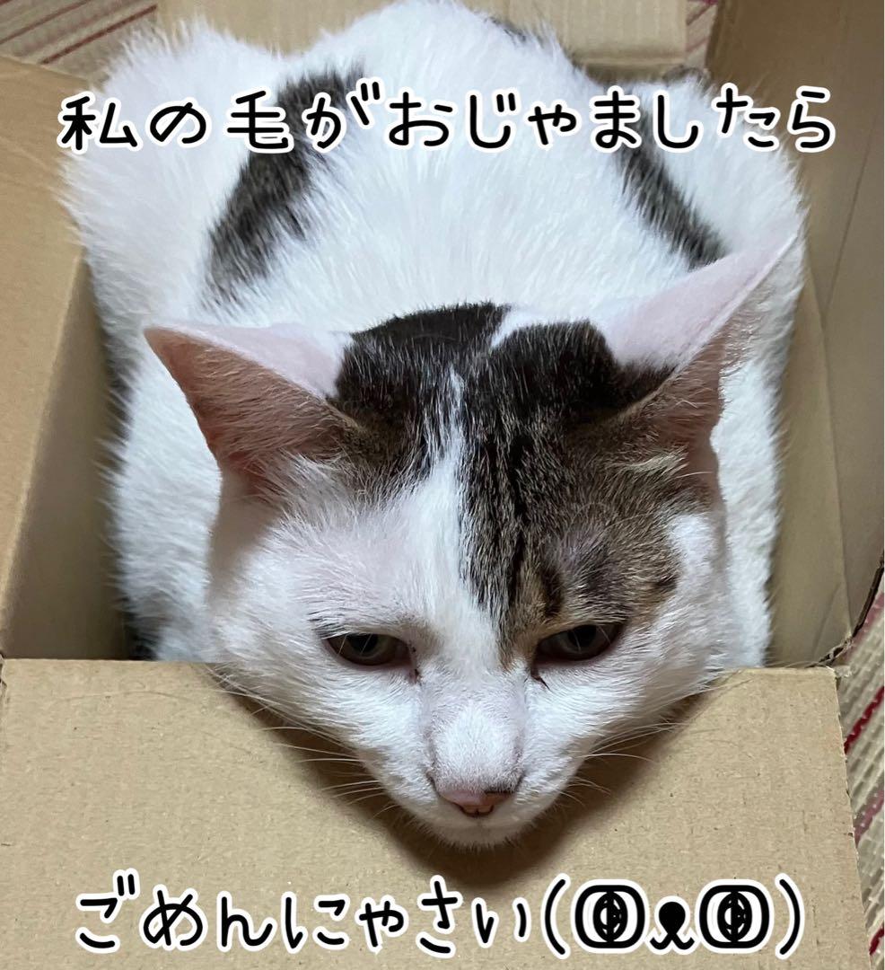 最新版 パーリーデュ FUSHIKA98 オールインワン 美肌ジェル 100g