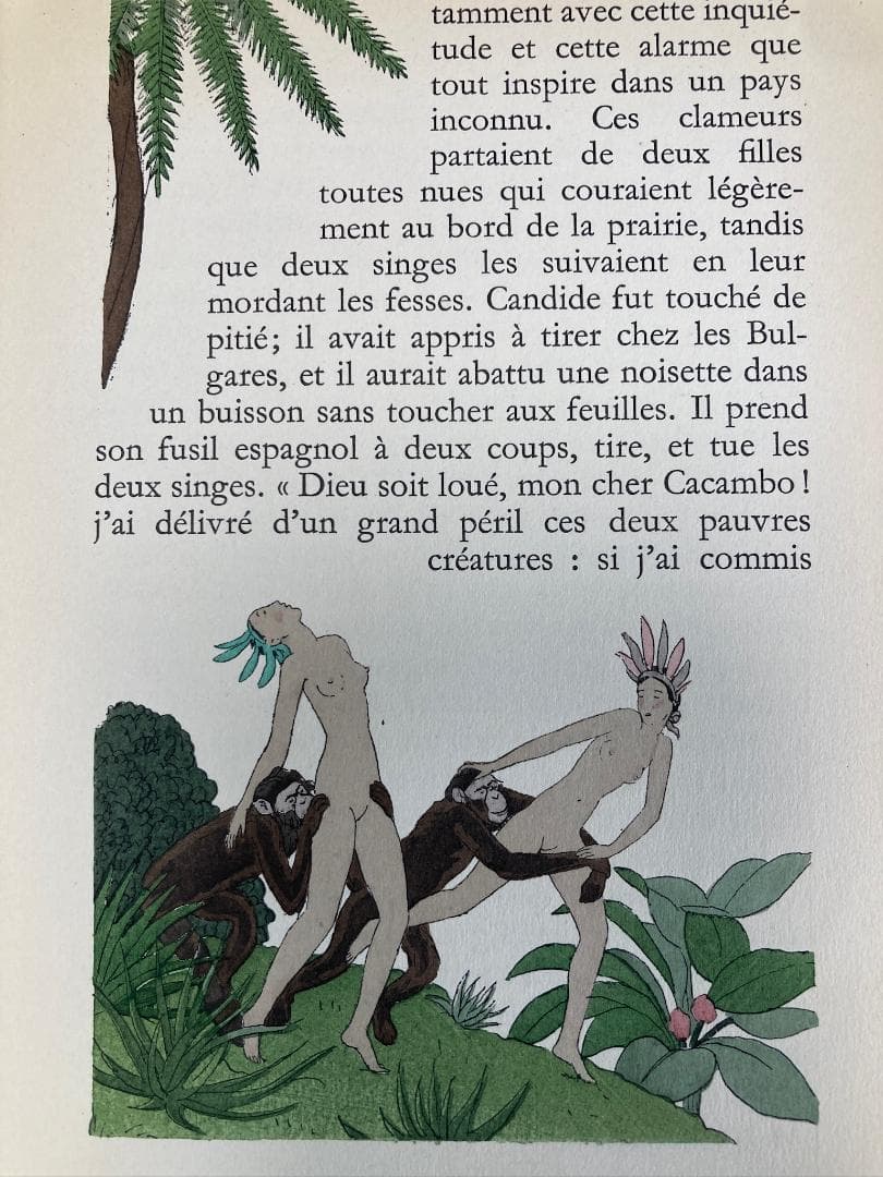 59番⭐️1937年 ヴォルテール 著 A.E.マルティ 挿絵『CANDIDE』